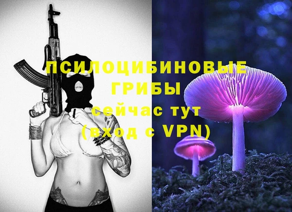 прущие крисы Козельск