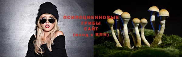 первитин Костерёво